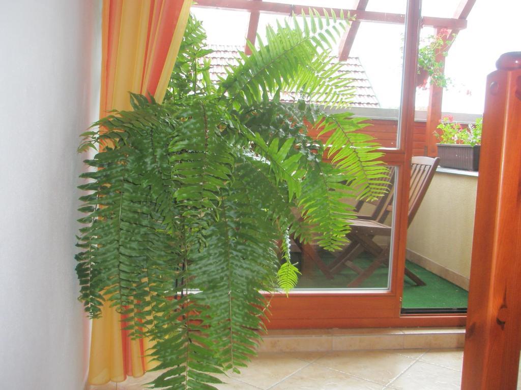 Villa Elena Smizany Room photo